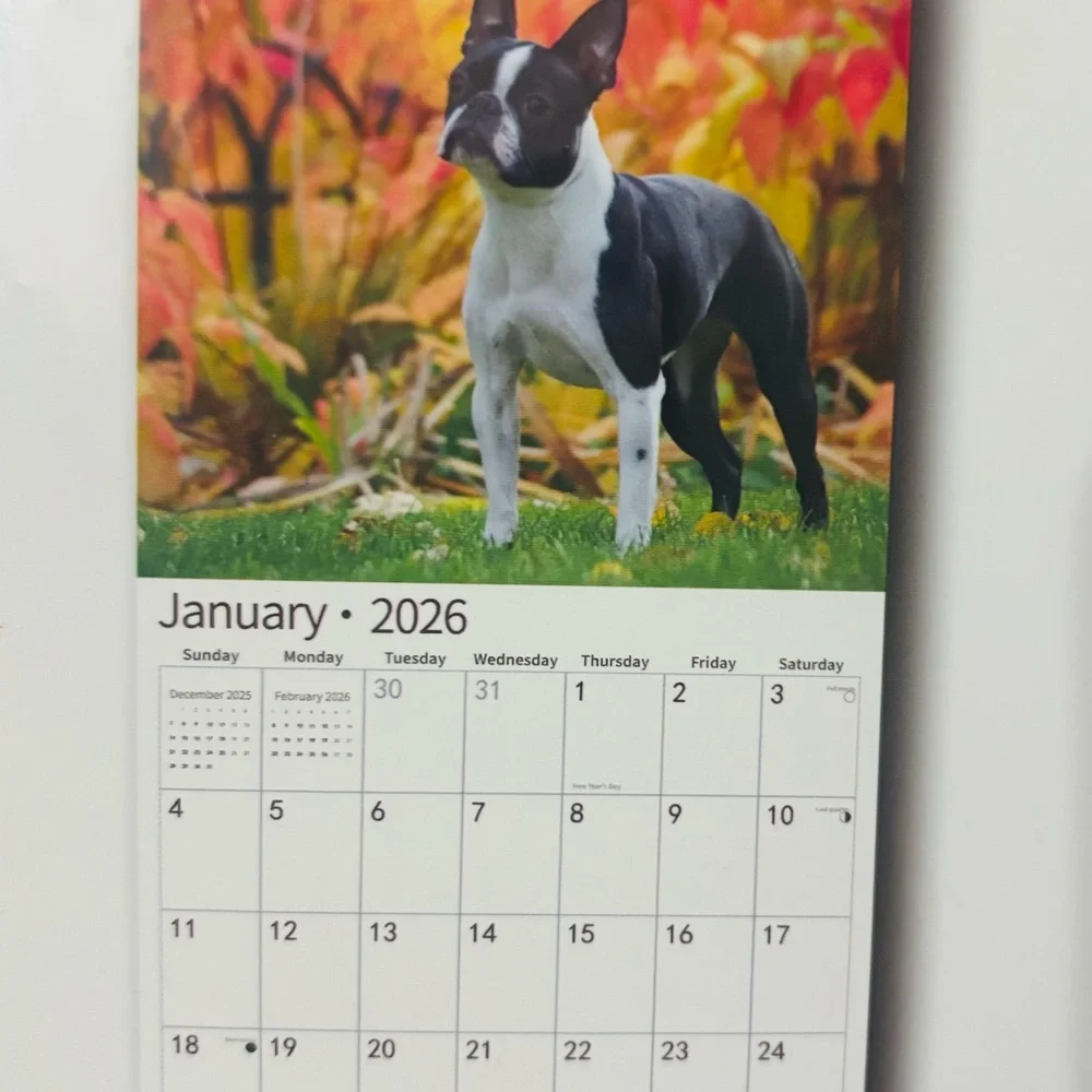 NEW Sealed 2026 BOSTON TERRIER 12 Month Wall calendar